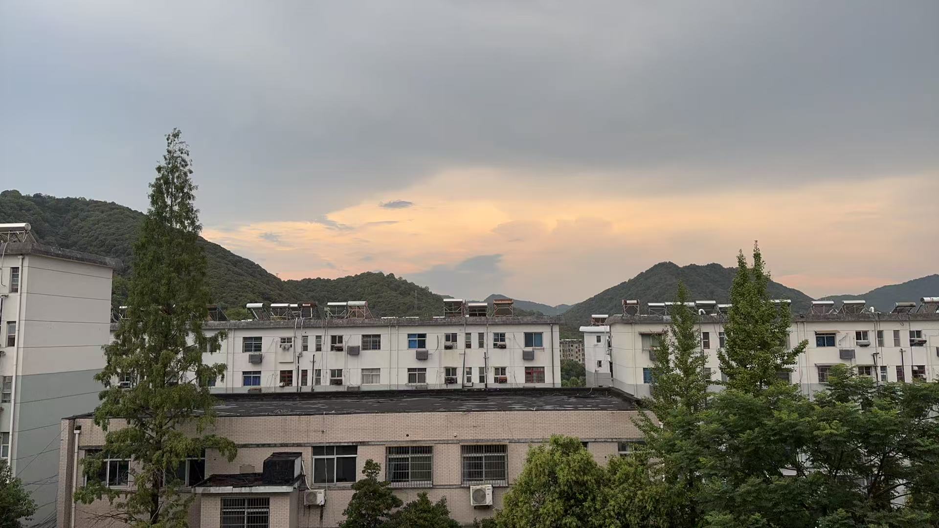 入职感悟